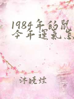 1984年的鼠今年运气怎么样