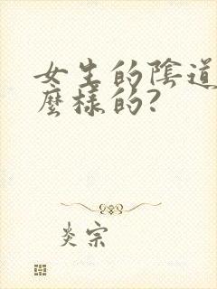 女生的阴道是什么样的?