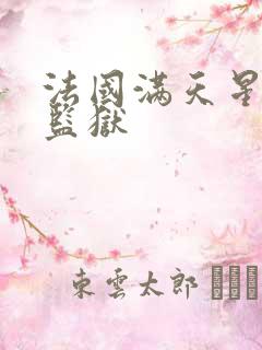 法国满天星高压监狱