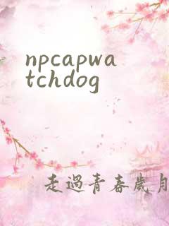 npcapwatchdog