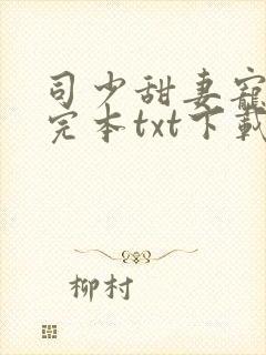 司少甜妻宠定了完本txt下载