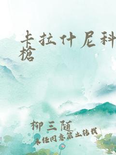 卡拉什尼科夫机枪