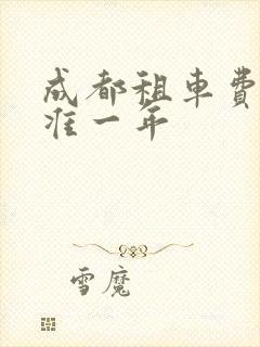 成都租车费用标准一年