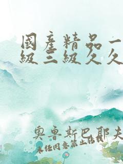 国产精品一级二级三级久久久