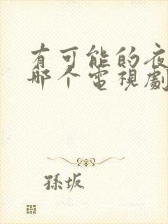 有可能的夜晚是哪个电视剧的插曲