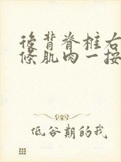 后背脊椎右侧那条肌肉一按就疼