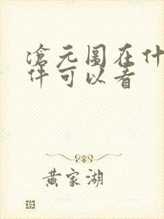 沧元图在什么软件可以看