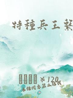 特种兵王系统