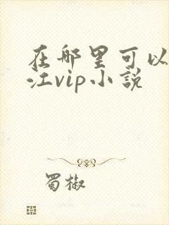 在哪里可以看晋江vip小说