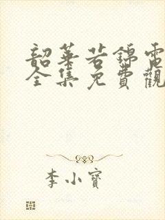 韶华若锦电视剧全集免费观看高清