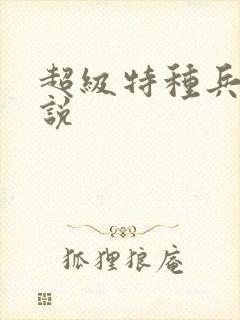 超级特种兵 小说