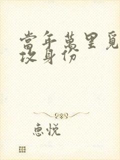 当年万里觅封侯攻身份