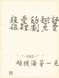 亲爱的翻译官小姐短剧免费观看全集高清