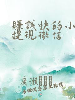 赚钱快的小游戏提现微信 赚钱快的小游戏提现微信