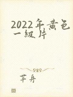 2022年黄色一级片