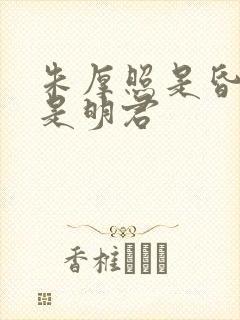 朱厚照是昏君还是明君
