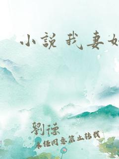 小说 我妻如奴