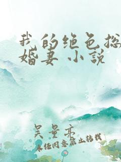 我的绝色总裁未婚妻 小说