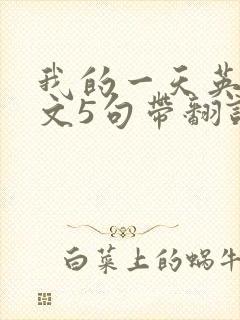 我的一天英语作文5句带翻译
