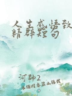 人生感悟致自己精辟短句