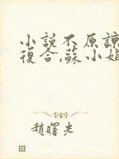 小说不原谅,不复合,苏小姐独美免费