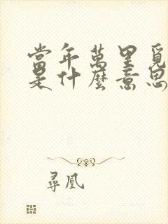当年万里觅封侯是什么意思