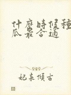 什么时候种秋黄瓜最合适