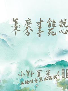 怎么才能挽回一个分手死心的男人