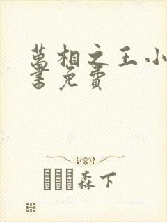 万相之王小说听书免费