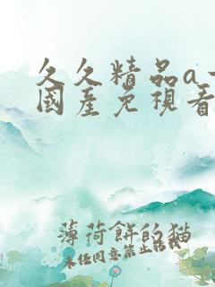 久久精品a一级国产免视看成人