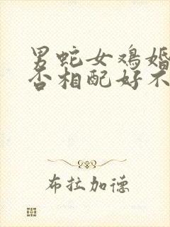 男蛇女鸡婚姻是否相配好不好