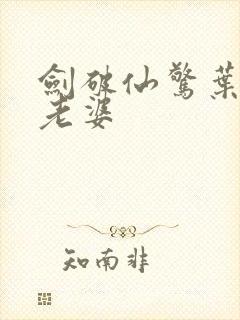 剑破仙惊叶玄的老婆