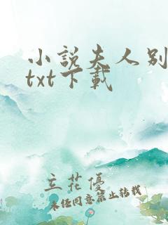 小说夫人别想逃txt下载