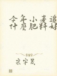 今年小麦追肥用什么肥料好