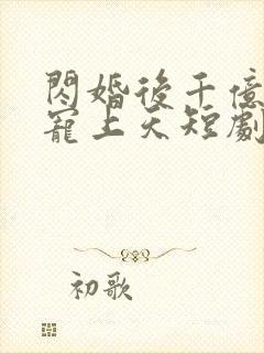 闪婚后千亿总裁宠上天短剧免费观看