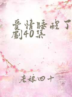 爱情睡醒了电视剧40集