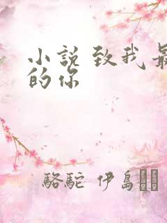 小说 致我最爱的你