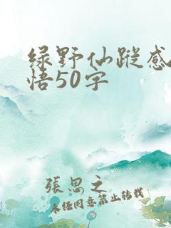 绿野仙踪感想感悟50字