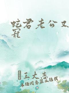 蛇君老公又甜又宠 蛇君老公又甜又宠
