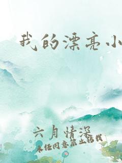 我的漂亮小后妈