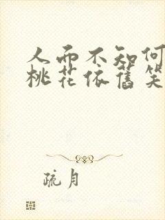 人面不知何处去桃花依旧笑春风什么意思