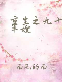 重生之九十年代军嫂