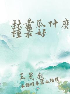 秋黄瓜什么时候种最好
