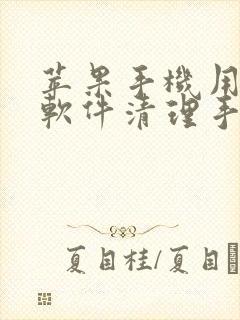 苹果手机用什么软件清理手机内存