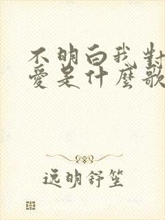 不明白我对你的爱是什么歌