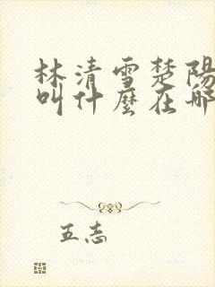 林清雪楚阳小说叫什么在哪里看