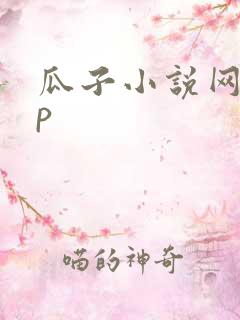 瓜子小说网app