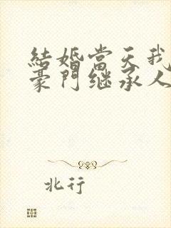 结婚当天我成了豪门继承人短剧