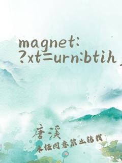 magnet:?xt=urn:btih老师