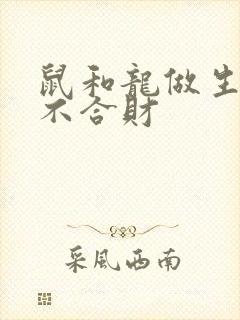 鼠和龙做生意合不合财
